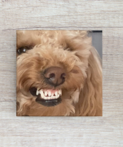 Mockup of a 6x6 custom photo canvas print displayed on a shelf