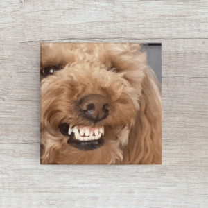 Mockup of a 6x6 custom photo canvas print displayed on a shelf