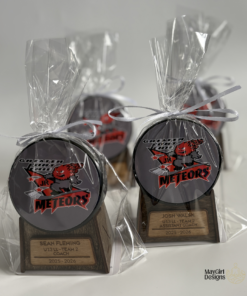 Personalized hockey puck or baseball keepsake with engraved wooden display stand and gift wrapping